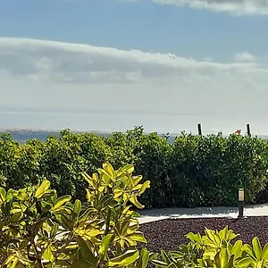 https://the-black-horse-canarias.maspalomashotels.com